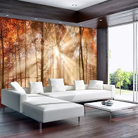 Флизелиновые 3д фотообои в зал 416x290 см Солнечные лучи в осеннем лесу (10471VEXXXXL) +клей