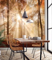 Флизелиновые 3д фотообои природа 416x254 см Солнечные лучи в осеннем лесу (10471VEXXXL) +клей - вид 10 миниатюра
