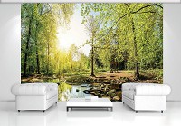 Флизелиновые фотообои 3Д Природа Солнечные Лучи Деревья 368x254 см Зеленый лес с ручейком (10508V8)+клей - вид 6 миниатюра