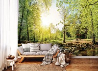 Флизелиновые фотообои 3Д Природа Солнечные Лучи Деревья 368x254 см Зеленый лес с ручейком (10508V8)+клей - вид 7 миниатюра