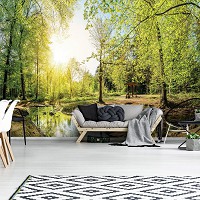 3 д флизелиновые фотообои Природа Солнечные Лучи Деревья 254x184 см Зеленый лес с ручейком (10508V4)+клей