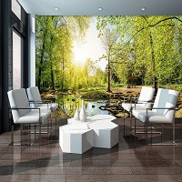 Флизелиновые фотообои 3Д Природа Солнечные Лучи Деревья 368x254 см Зеленый лес с ручейком (10508V8)+клей