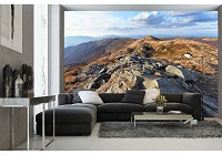 Готові флізелінові фотошпалери 3Д Природа 254x184 см Гори Бещади (10510V4)+клей - вид 5 мініатюра