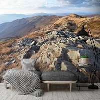 Готовые флизелиновые фотообои 3Д Природа 254x184 см Горы Бещады (10510V4)+клей