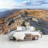 Флизелиновые фотообои на кухне 3Д Природа 312x219 см Горы Бещады (10510VEXXL)+клей