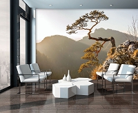 Флизелиновые 3Д фотообои на всю стену 254x184 см Горы Пенины - Дерево на скале (10511V4)+клей