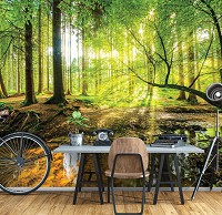 Флизелиновые фотообои на стену деревья 3Д Природа Лучи 312x219 см Ручей в солнечном зеленом лесу (10513VEXXL) +клей