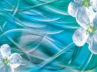 Красиві флізелінові фотошпалери 368x280 см Роса на білих квітах (10570V10) +клей - вид 1 мініатюра