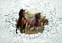 Флізелінові фотошпалери домашні тварини 312x219 см 3D коні та цегляна стіна (10606VEXXL)+клей - вид 1 мініатюра