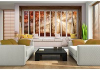Флізелінові фотошпалери 3d природа краєвид дерева 460x300 см Вид на осінній ліс з великого вікна (10659V12) +клей