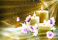 Флизелиновые фотообои фото цветы СПА 416x254 см Свечи и магнолия на коричневом фоне (10674VEXXXL) +клей - вид 1 миниатюра