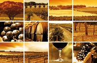 Флизелиновые фотообои в кухню 254x184 см Коллаж на тему виноград (106V4)+клей