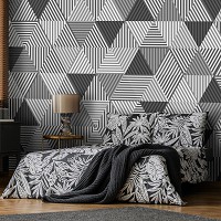 Флизелиновые фотообои для зала 368x254 см Черно-белые треугольники (10759V8) +клей