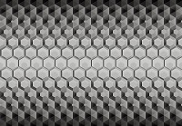 Зд соти флізелінові фотошпалери 416x254 см Сірі шестикутники (10763VEXXXL) +клей - вид 1 мініатюра