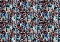 Флізелінові фотошпалери птиці 368x280 см Гарне пір'я (10920V10) +клей - вид 1 мініатюра