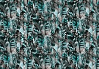 Птицы флизелиновые фотообои 368x254 см Красивые зеленые перья (10921V8) +клей - вид 1 миниатюра