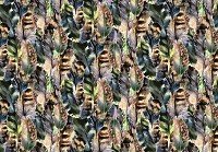 Птахи флізелінові фотошпалери 520x318 см Красиві різнокольорові пір'я (10922VEXXXXXL) +клей - вид 1 мініатюра