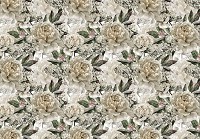 Красиві флізелінові фотошпалери квіти 368x254 см Бежеві півонії (10934V8) +клей - вид 1 мініатюра