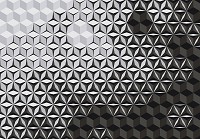 Абстракция флизелиновые фотообои на стену 416x290 см 3D Черно-белая мозаика из кубиков (10941VEXXXXL) +клей - вид 1 миниатюра
