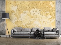 Флизелиновые фотообои красивые 254x184 см Карта северного полушария (10943V4)+клей