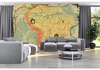 Красивые флизелиновые фотообои на кухню 312x219 см Карта Южной Америки (10945VEXXL)+клей