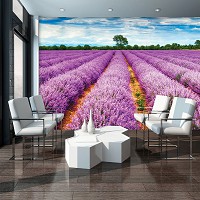 Флизелиновые фотообои 3д природа 254x184 см Вереск поле (11039V4)+клей