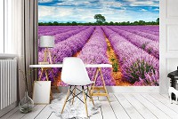 Флизелиновые 3д фото обои природа весна 368x254 см Вереск поле (11039V8)+клей