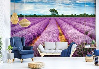 Флизелиновые 3д фото обои 312x219 см Вереск поле (11039VEXXL)+клей