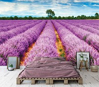 Флизелиновые 3d фото обои природа 416x254 см Вереск поле (11039VEXXXL)+клей