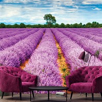 Флізелінові 3д фото шпалери природа весна 368x254 см Верес поле (11039V8)+клей - вид 9 мініатюра