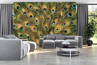 Флизелиновые фотообои на стену птички 368x254 см павлинье перо (11045V8) +клей