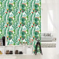 Флизелиновые фото обои природа 184x254 см Кактус (11082V4A)+клей
