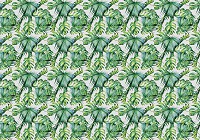 Флизелиновые фотообои 312x219 см Зеленые листья джунглей на белом фоне (11097VEXXL) +клей - вид 1 миниатюра