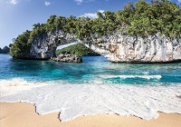 3d флизелиновые фотообои природа море 312x219 см Пляжный вид на пенистые волны океана (11236VEXXL) +клей - вид 1 миниатюра