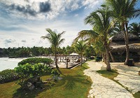 Флізелінові фотошпалери у вітальню природа 312x219 см Пальма (11355VEXXL)+клей