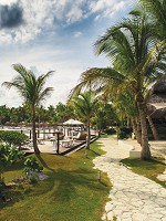 Флізелінові фото шпалери природа весна 206x275 см Пальма (11355VEA)+клей - вид 1 мініатюра