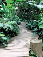 Флізелінові фотошпалери 3д природа 184x254 см ліс (11356V4A)+клей - вид 1 мініатюра