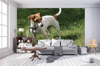 Флизелиновые фото обои животные 312x219 см Собака (11371VEXXL)+клей - вид 5 миниатюра