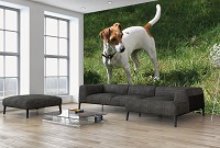 Флизелиновые фото обои животных 254x184 см Собака (11371V4)+клей