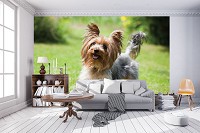 Флизелиновые фотообои с животными 254x184 см Собака (11372V4)+клей