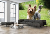Флизелиновые фото обои природа 368x254 см Собака (11372V8)+клей