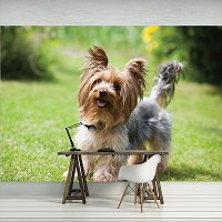 Флизелиновые фото обои собаки 312x219 см (11372VEXXL)+клей
