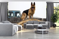 Флизелиновые 3d фото обои 368x254 см Собака (11373V8)+клей