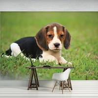 Флизелиновые фотообои природа 368x254 см Собака (11374V8)+клей