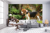 Флизелиновые фотообои 3д животные 254x184 см Собака (11375V4)+клей