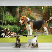 Флизелиновые 3д фото обои животные 312x219 см Собака (11375VEXXL)+клей