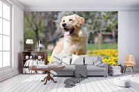 Флизелиновые фото обои с животными 416x254 см Собака (11376VEXXXL)+клей