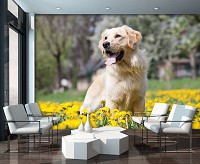 Флизелиновые фото обои 254x184 см Собака (11376V4)+клей