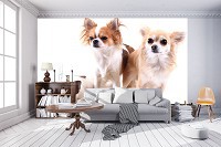 Флизелиновые фото обои собаки 254x184 см (11377V4)+клей