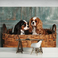 Флизелиновые фотообои природа 254x184 см Собаки (11379V4)+клей